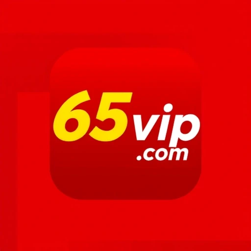 65vip.com